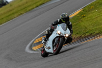 PJ-Motorsport-2019;anglesey-no-limits-trackday;anglesey-photographs;anglesey-trackday-photographs;enduro-digital-images;event-digital-images;eventdigitalimages;no-limits-trackdays;peter-wileman-photography;racing-digital-images;trac-mon;trackday-digital-images;trackday-photos;ty-croes